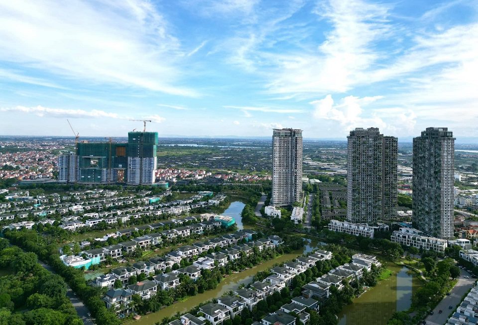 Tiến độ Sky Forest tháng 01/2024